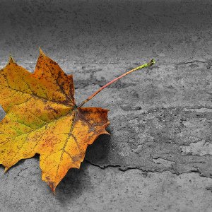 Erinnerung an den Herbst......Ursula Kuklinski